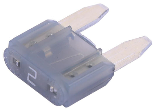 Corexx zekering bananenstekker mini mini protection 2a inh.50