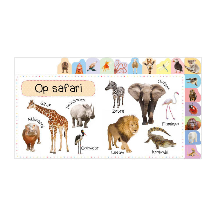Afbeelding laden in galerijviewer, Rebo publishers mijn eerste 100 dieren - mijn eerste 100
