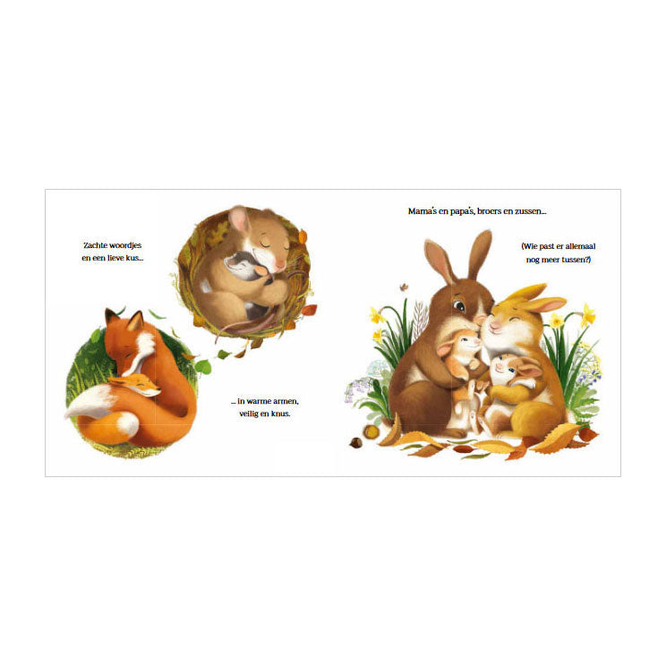 Afbeelding laden in galerijviewer, Rebo publishers grote knuffels voor kleine beer
