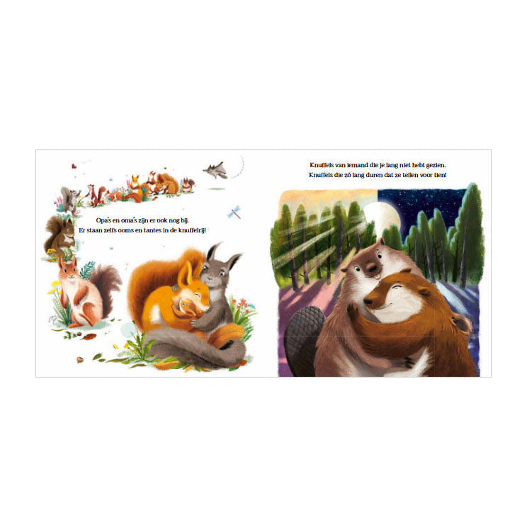 Afbeelding laden in galerijviewer, Rebo publishers grote knuffels voor kleine beer
