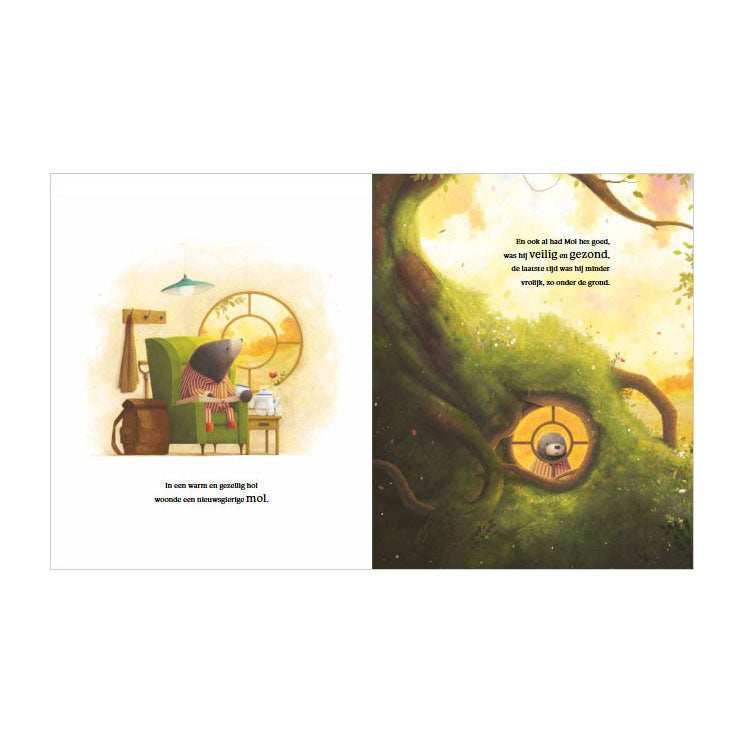 Afbeelding laden in galerijviewer, Rebo publishers de reis
