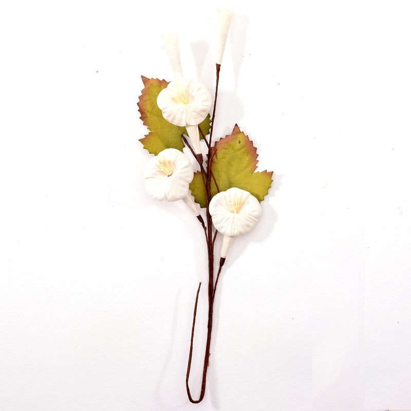 Afbeelding laden in galerijviewer, Petaloo • color me crazy trumpet vine spray
