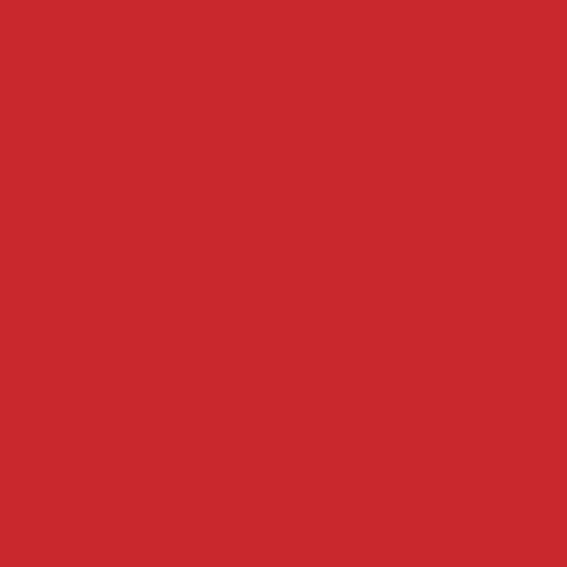 Afbeelding laden in galerijviewer, Ranger ink ranger • dylusions ink spray postbox red 59ml
