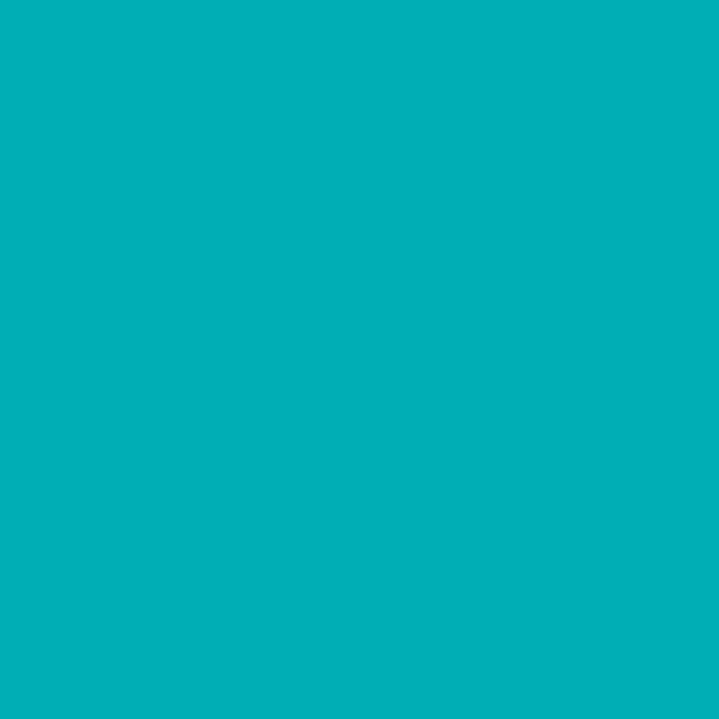 Afbeelding laden in galerijviewer, Ranger ink ranger • dylusions ink spray calypso teal 59ml
