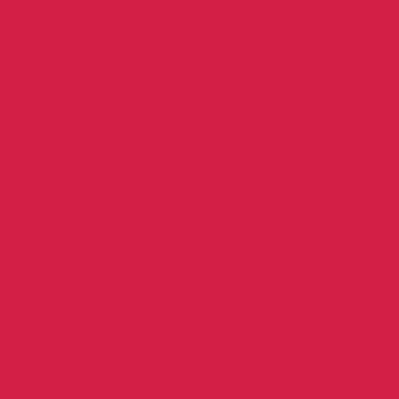 Afbeelding laden in galerijviewer, Ranger ink ranger • dylusions ink spray cherry pie 59ml
