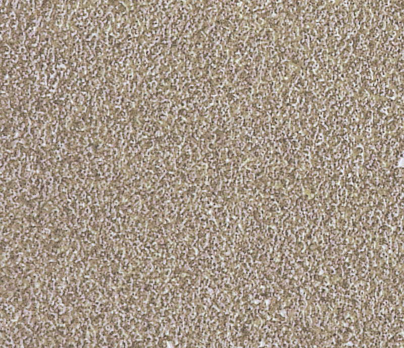 Afbeelding laden in galerijviewer, Ranger ink ranger • tim holtz distress mini ink pad frayed burlap
