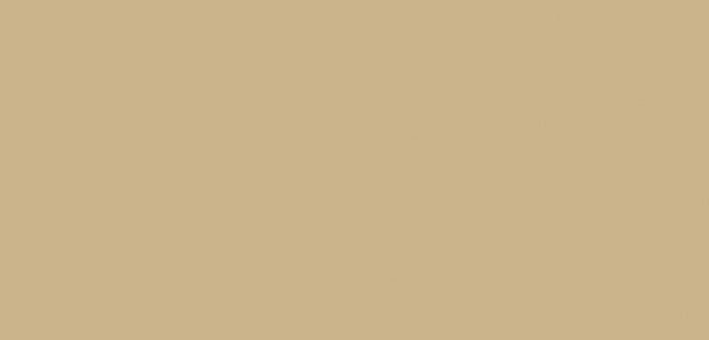 Afbeelding laden in galerijviewer, Ranger ink ranger • tim holtz alcohol ink latte 14ml
