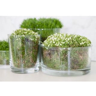 Afbeelding laden in galerijviewer, | 3 stuks
