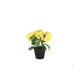 Afbeelding laden in galerijviewer, Viooltje in plastic pot ca. 21cmh assorti kleur | 4 stuks
