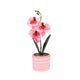 No brand kunst orchidee in pot 28 cm 6 assorti