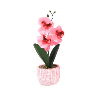 Afbeelding laden in galerijviewer, No brand kunst orchidee in pot 28 cm 6 assorti
