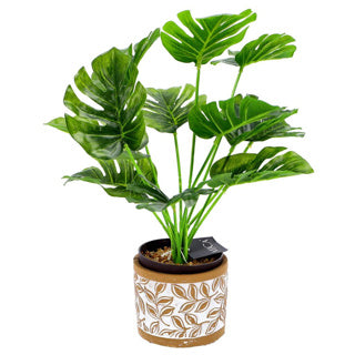 Afbeelding laden in galerijviewer, No brand pot olea cylinder bruin 11 cm | 6 stuks

