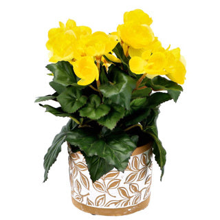 Afbeelding laden in galerijviewer, No brand pot olea cylinder bruin 11 cm | 6 stuks
