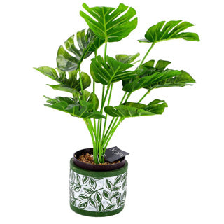 Afbeelding laden in galerijviewer, No brand pot olea cylinder groen 11 cm | 6 stuks
