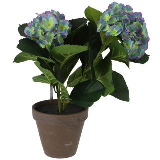 Afbeelding laden in galerijviewer, 8718861490152
