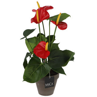 Afbeelding laden in galerijviewer, Edelman kunstplant anthurium rood in pot
