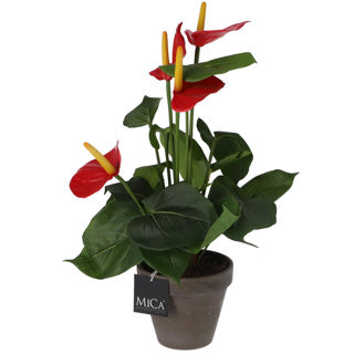 Afbeelding laden in galerijviewer, Edelman kunstplant anthurium rood in pot
