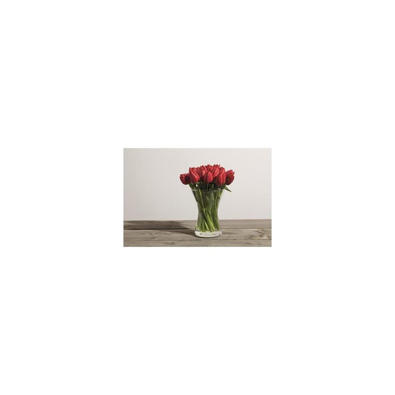 Afbeelding laden in galerijviewer, B-living vaas glas essentials x-shape ã˜14xh20cm
