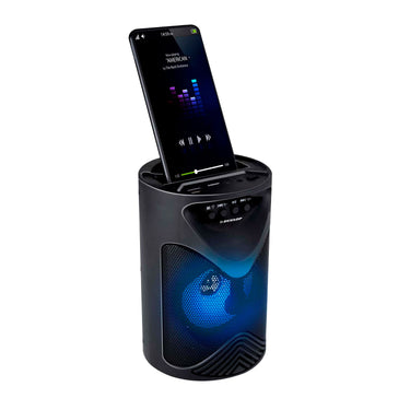 Dunlop bluetooth speaker usb
