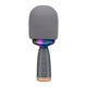 Karaoke microfoon speaker