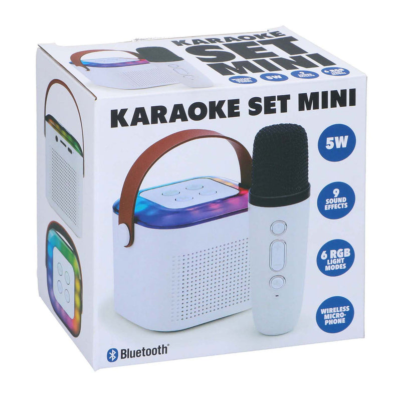 Afbeelding laden in galerijviewer, Mini karaoke set, 2dlg.
