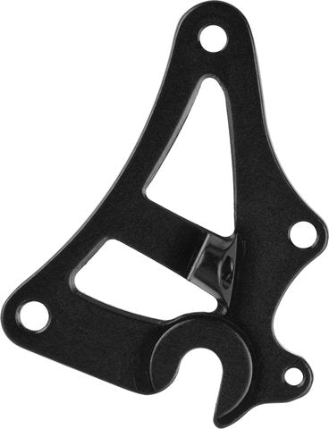 Afbeelding laden in galerijviewer, Salsa alternator standard swing plate dropouts with fender eyelets
