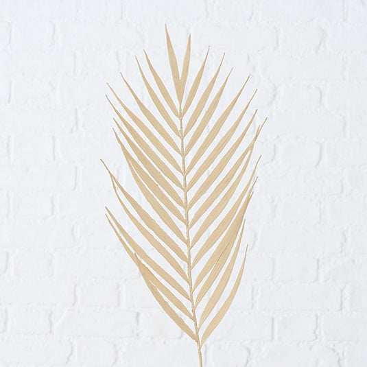 Boltze home decotak farn 90cm