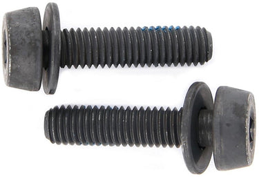 Campagnolo mounting bolts for disc brakes (pack of 2) | 34 mm