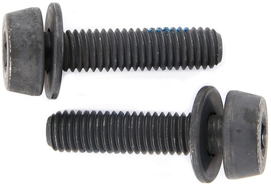 Campagnolo mounting bolts for disc brakes (pack of 2) | 34 mm