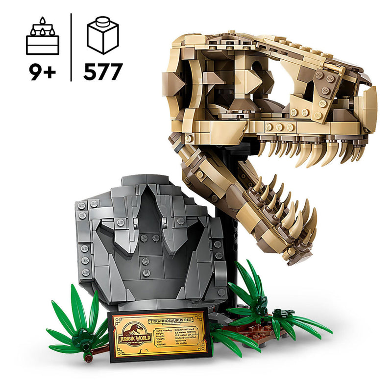 Afbeelding laden in galerijviewer, Lego LEGO Jurassic World 76964 Dinosaurusfossielen: T-Rex Schedel
