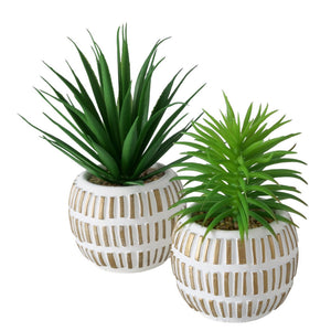 Boltze home kunstplant vetplant kunststof 9x9x13,3cm 2 assorti