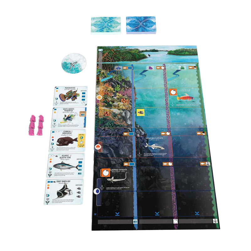 Afbeelding laden in galerijviewer, 999games 999 games finspan bordspel (nederlands, 1 - 5 spelers, 60 minuten, vanaf 10 jaar)
