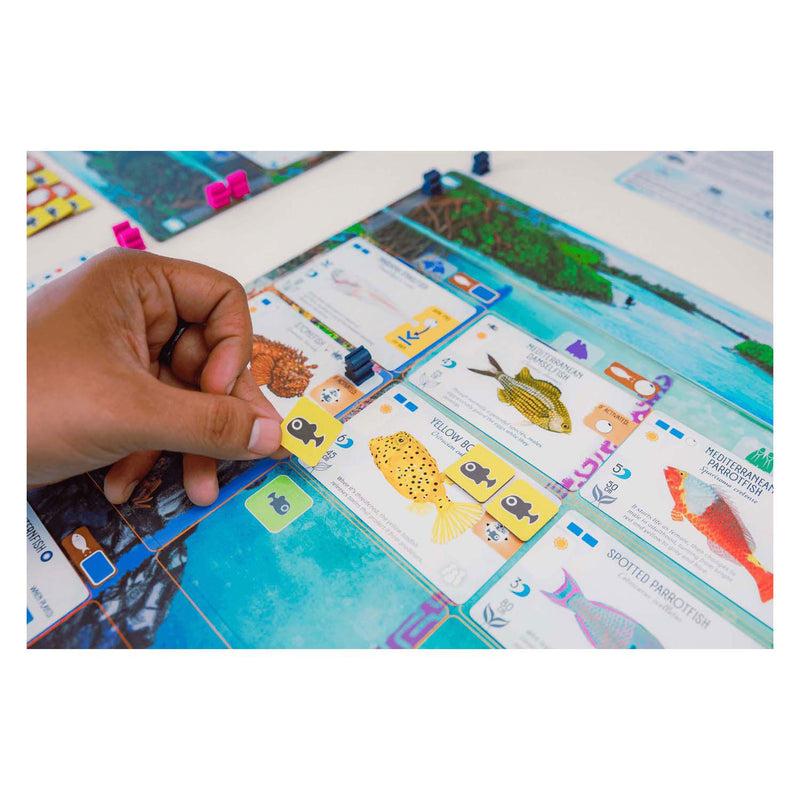 Afbeelding laden in galerijviewer, 999games 999 games finspan bordspel (nederlands, 1 - 5 spelers, 60 minuten, vanaf 10 jaar)
