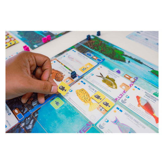 999games 999 games finspan bordspel (nederlands, 1 - 5 spelers, 60 minuten, vanaf 10 jaar)