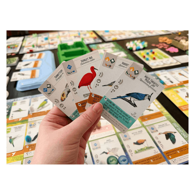 Afbeelding laden in galerijviewer, 999games 999 games wingspan: midden- en zuid-amerika bordspel (uitbreiding, nederlands, 1 - 5 spelers, 40 - 70 minuten, vanaf 10 jaar)
