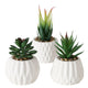 Boltze home kunstplant vetplant in stenen pot wit h15cm b7cm