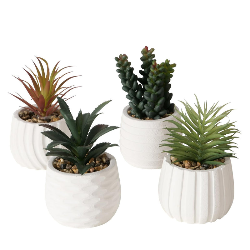 Afbeelding laden in galerijviewer, Boltze home kusnstplant yucatan h14cm
