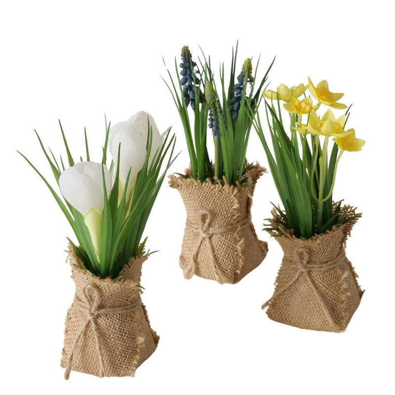 Afbeelding laden in galerijviewer, 4066076507115
