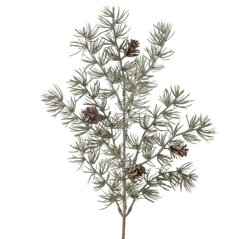 Afbeelding laden in galerijviewer, Boltze home decoratietak pijnboom 50x24x6cm

