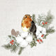 Duni servetten robin forest 24x24cm