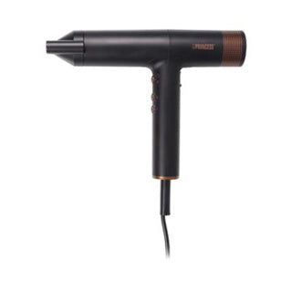 Princess airstyler pro | 2 stuks