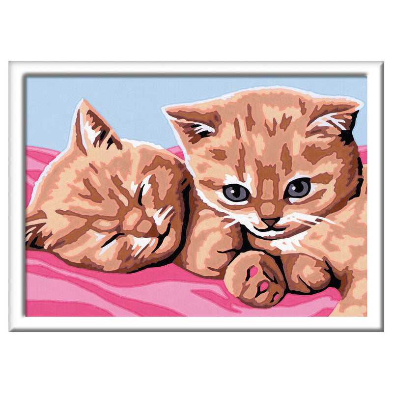 Afbeelding laden in galerijviewer, Ravensburger Schilderen op Nummer Knuffelvriendjes
