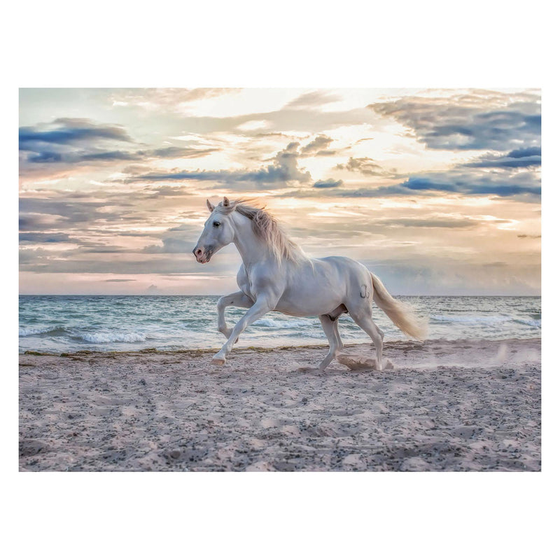 Afbeelding laden in galerijviewer, Ravensburger Paard op het Strand Legpuzzel 500st.

