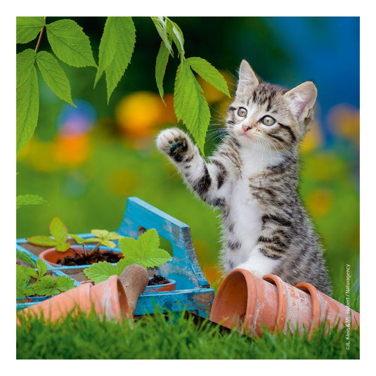 Ravensburger puzzel katten - 3x49 stukjes - kinderpuzzel
