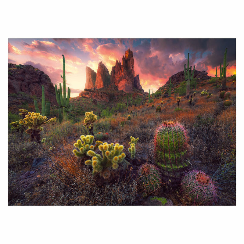 Afbeelding laden in galerijviewer, Ravensburger legpuzzel cactus, 500st.
