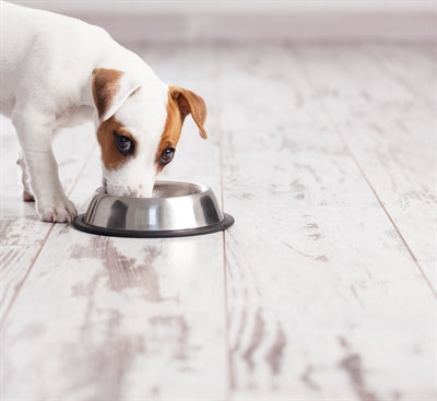 Afbeelding laden in galerijviewer, Happy pet voerbak antislip spaniel
