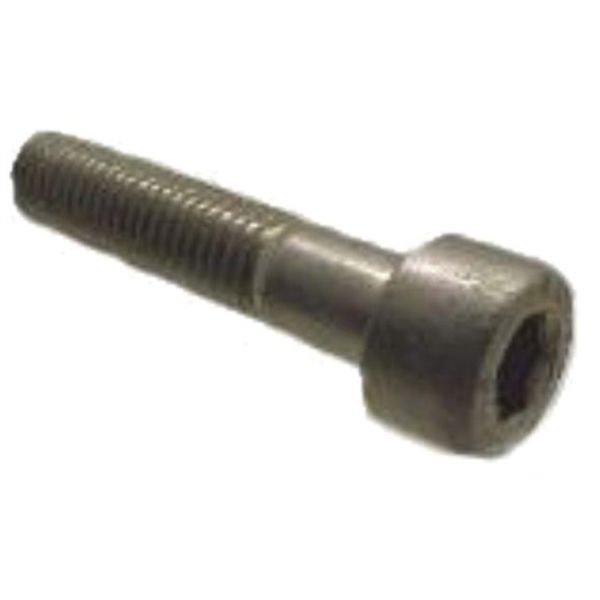 Afbeelding laden in galerijviewer, Bofix inbusbout m8 x 40 rvs voor zadelpen (12 stuks)
