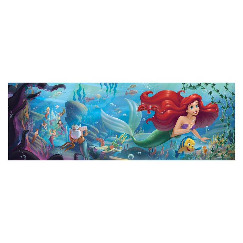 Afbeelding laden in galerijviewer, Clementoni Panorama Puzzel Disney Prinses, 1000st.

