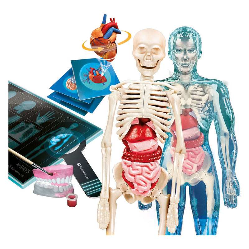 Afbeelding laden in galerijviewer, Clementoni wetenschap en spel - super anatomie
