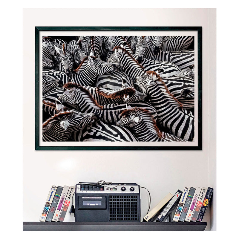 Afbeelding laden in galerijviewer, Clementoni Legpuzzel National Geographics - Zebra, 1000st.
